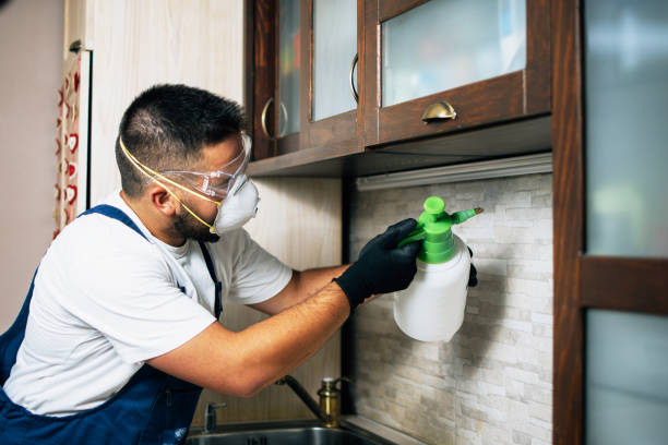 Professional Pest Control in Fitzgerald, GA