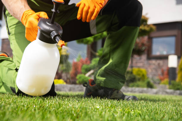 Trusted Fitzgerald, GA Pest Control Experts