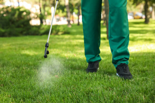 Best Bed Bug Extermination  in Fitzgerald, GA