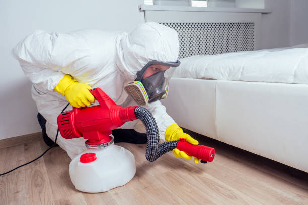 Best Local Pest Control Services  in Fitzgerald, GA