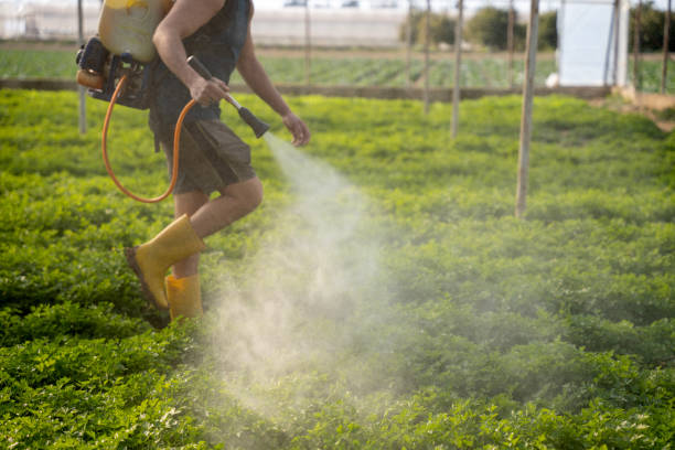 Best Best Pest Control Companies  in Fitzgerald, GA