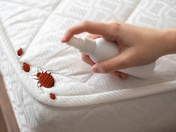 Best Best Pest Control Companies  in Fitzgerald, GA