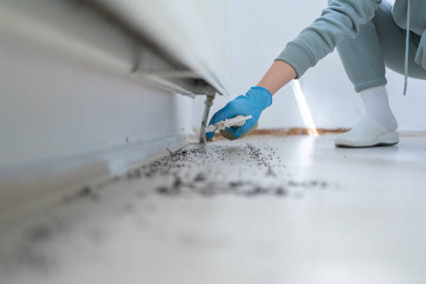 Best Pest Removal Services  in Fitzgerald, GA